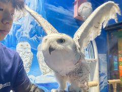 -成都浩海立方海洋公园