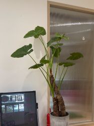 -归位瑜伽＆普拉提馆