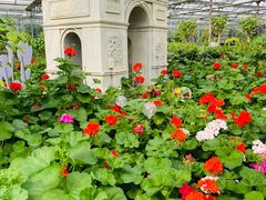 -南宫五洲植物乐园