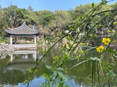 -叶家花园