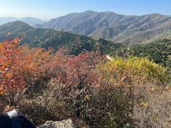-香山公园