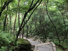 -洛阳白云山景区