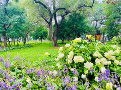 -长春市南湖公园