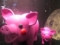 -苏仙服务区-餐饮区