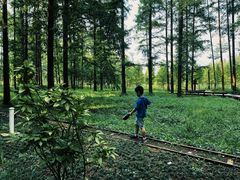 -黄海国家森林公园