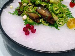捞拌海参-怡情荟•海鲜青岛菜(五四广场旗舰店)
