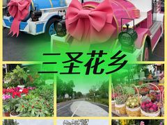 -三圣花乡旅游区