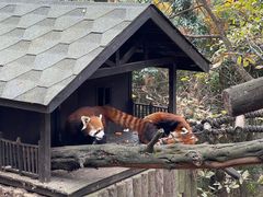 -云南野生动物园