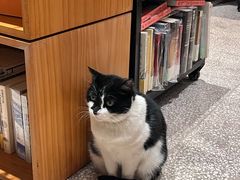 -大理床单厂艺术区