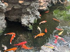 -广州白天鹅宾馆