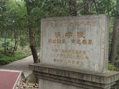-紫金山山顶公园