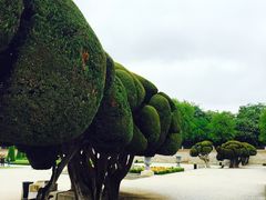 -丽池公园