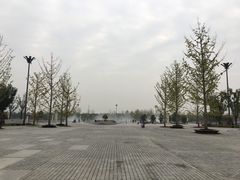 -秦文明广场