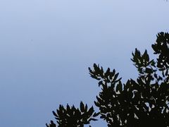 -成都市文化公园