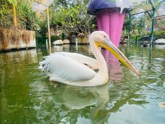 -灵玲国际马戏城