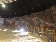 -二连浩特国家地质公园