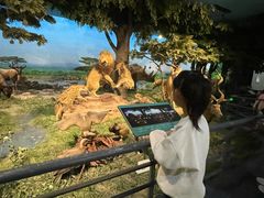 -国家自然博物馆