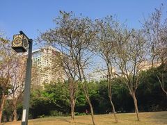 -南宁南湖公园