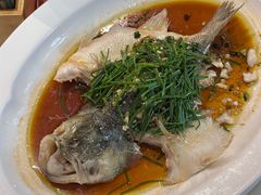 -大鸽饭(马王堆店)