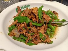 -绿草地·湘菜(芙蓉天街店)