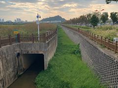 -光明小镇欢乐田园