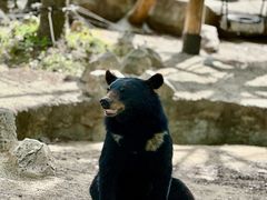 -上海野生动物园