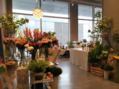 -dotcom coffee古点咖啡(致真大厦店)