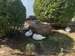 -长春市南湖公园