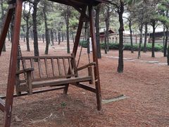 -东海森林温泉度假酒店