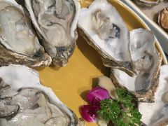 -阿古蒙·传统涮火锅自助(三台子万象汇店)