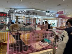 -北京华联购物中心(天通苑店)