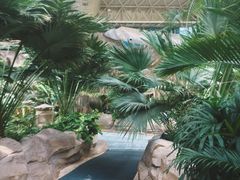 -杭州开元森泊度假乐园