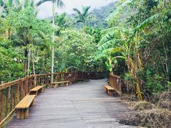 -七仙岭温泉国家森林公园