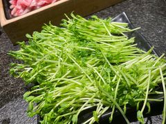 -湊湊火锅·茶憩(打浦桥日月光店)