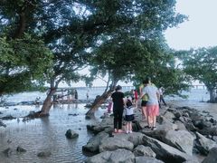 -宝安西湾红树林湿地公园