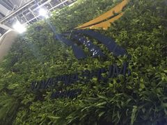 -曼谷素万那普国际机场