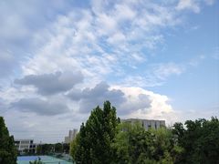 -九里湖国家湿地公园