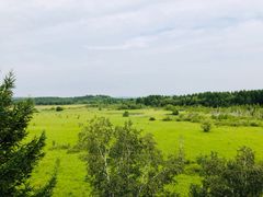 -塞罕坝国家级自然保护区