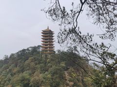 -缙云山景区