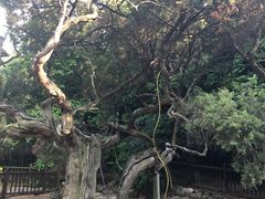 -草庵摩尼教遗址公园