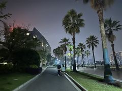 -金沙湖公园