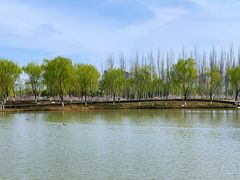 -西安浐灞国家湿地公园