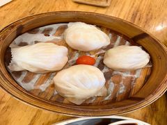 招牌虾饺-虾饺妹·酒家(海珠广场店)