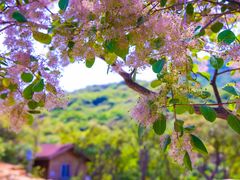 -周口店坡峰岭风景区