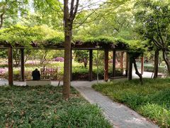 -徐家汇源景区-衡山公园