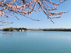 -颐和园