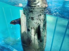 -秦皇岛新澳海底世界