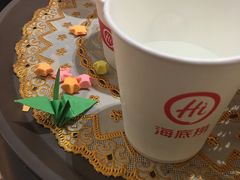 -海底捞火锅(公益西桥店)