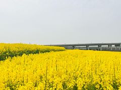 -三圣花乡旅游区