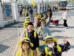 -杨梅红艺术教育(北京金源购物中心校区)